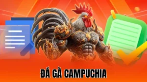 Đá gà Campuchia