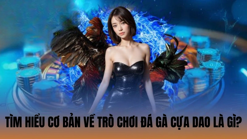 Tìm hiểu cơ bản về trò chơi đá gà cựa dao là gì?