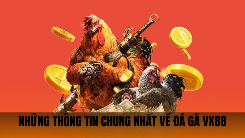 Những thông tin chung nhất về đá gà VX88 Những thông tin chung nhất về đá gà VX88