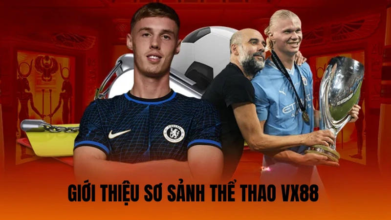 Khái quát về sảnh thể thao Vx88 Khái quát về sảnh thể thao Vx88