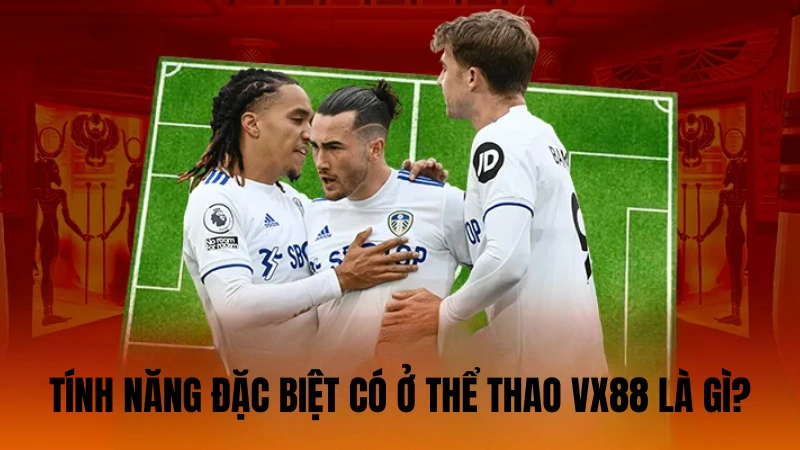 Tính năng đặc biệt có ở sảnh thể thao VX88 là gì? Tính năng đặc biệt có ở sảnh thể thao VX88 là gì?