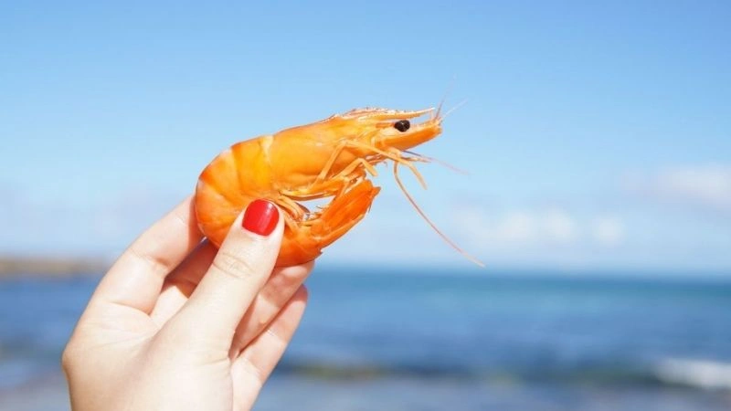 Góc nhìn mới mẻ hơn về vấn đề con tôm số mấy